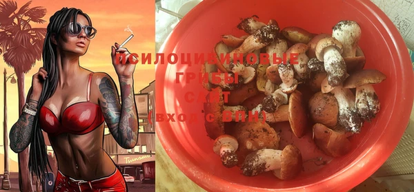 ГАЛЛЮЦИНОГЕННЫЕ ГРИБЫ Белокуриха