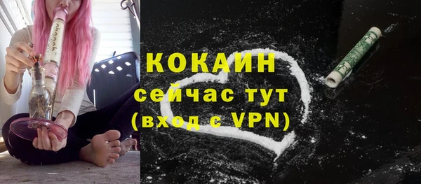 ГАЛЛЮЦИНОГЕННЫЕ ГРИБЫ Белокуриха