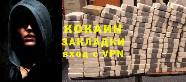 сатива Бородино