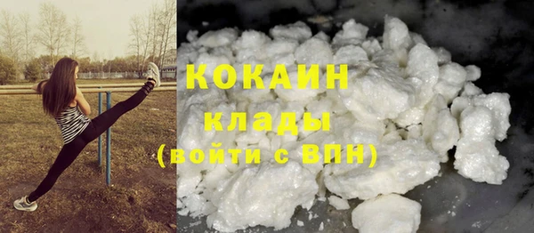 ГАЛЛЮЦИНОГЕННЫЕ ГРИБЫ Белокуриха