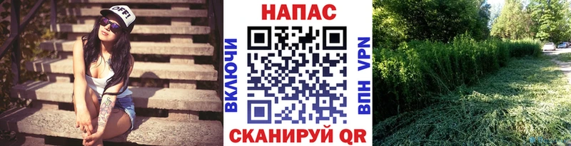 Шишки марихуана гибрид  Тверь 